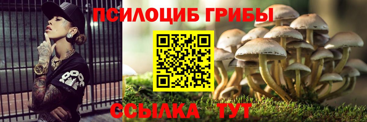 Владикавказ  Галлюциногенные грибы Cubensis  Псилоцибиновые грибы GOLDEN TEACHER  Вход с VPN 