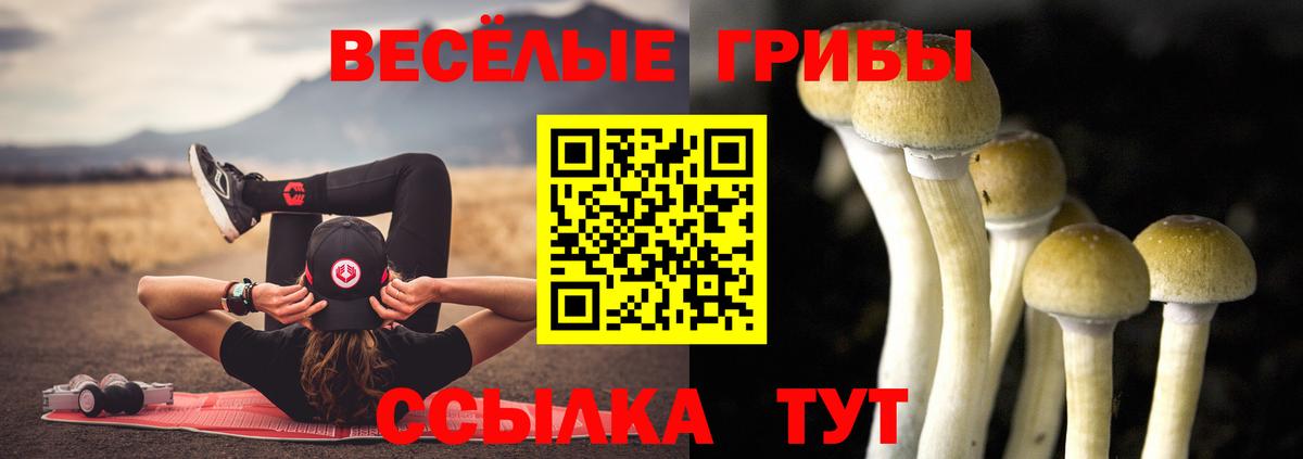 Псилоцибиновые грибы Psilocybe Владикавказ